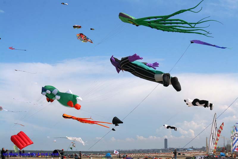 Cervia 13 _191