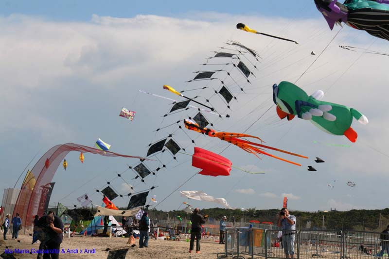 Cervia 13 _238