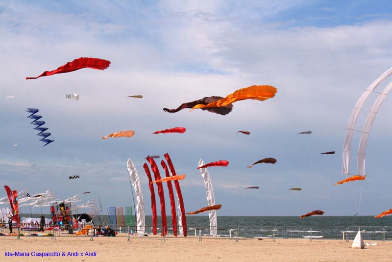Cervia 13 _308