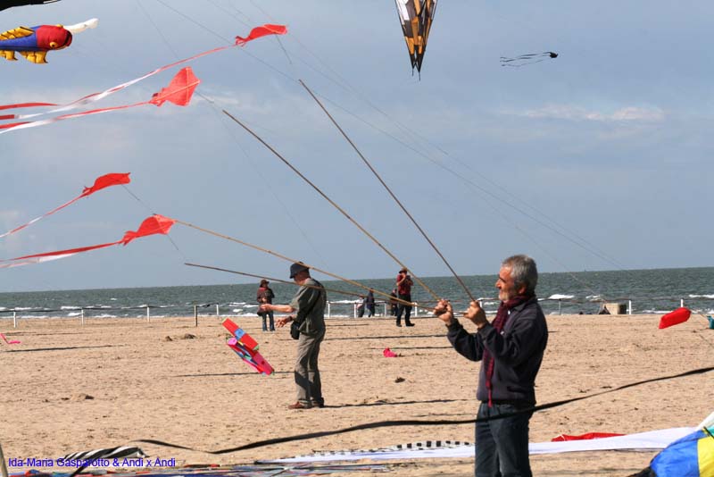 Cervia 13 _309