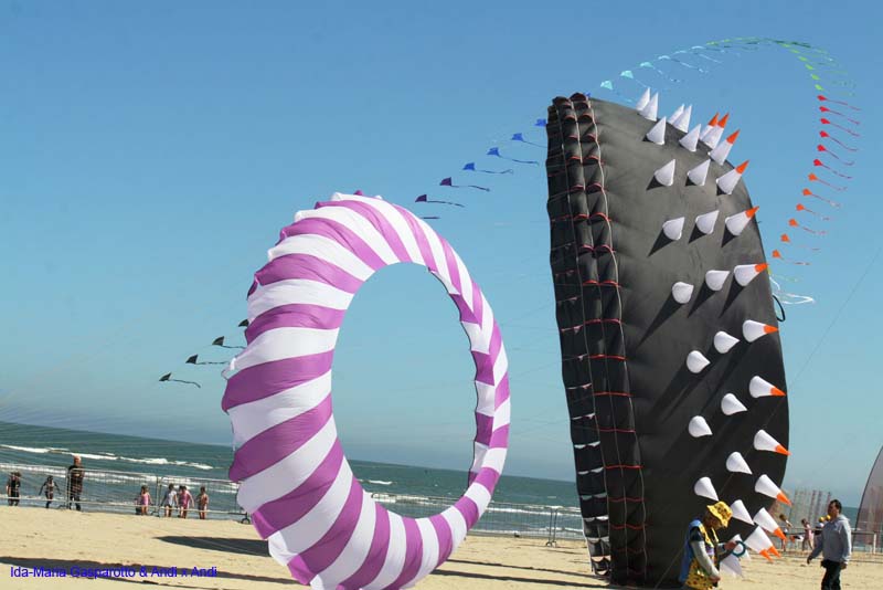 Cervia 13 _426