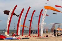 Cervia 13
                  _258