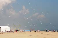 Cervia 13
                  _361