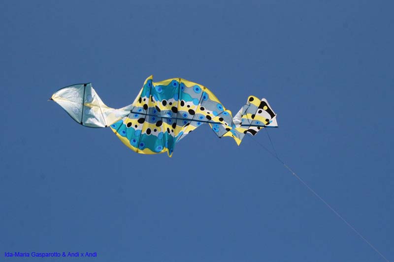 Cervia 13 _050