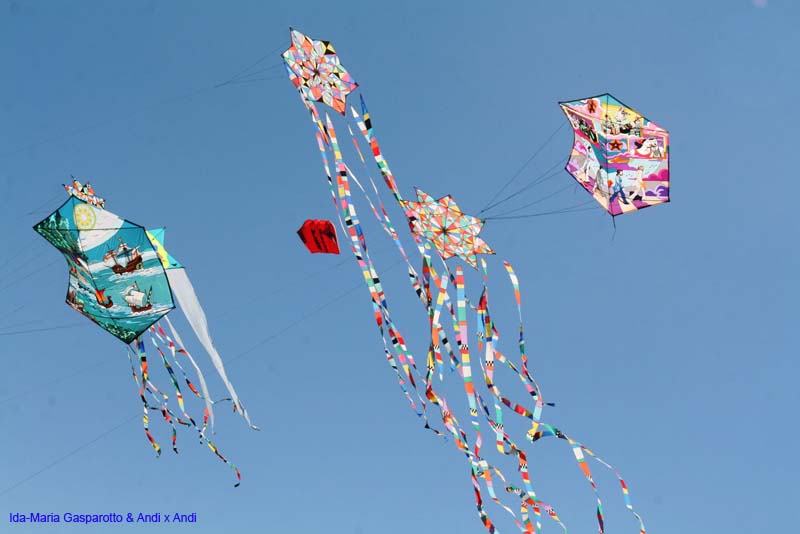 Cervia 13 _429