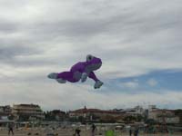 Cervia 20
                  (10)