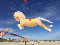 Cervia 20
                  (13)