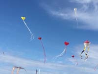 Cervia 20
                  (16)