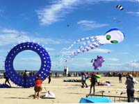 Cervia 20
                  (17)