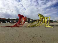 Cervia 20
                  (18)