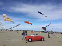 Cervia 20
                  (19)