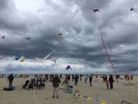 Cervia 20
                  (22)