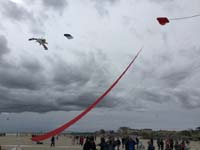 Cervia 20
                  (25)