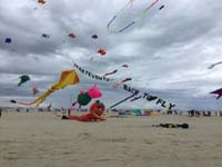 Cervia 20
                  (27)
