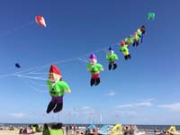 Cervia 20
                  (3)