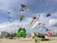 Cervia 20
                  (35)