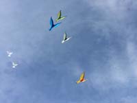 Cervia 20
                  (36)