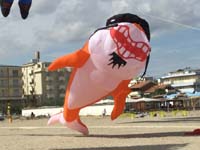 Cervia 20
                  (37)