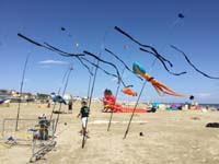 Cervia 20
                  (4)
