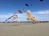Cervia 20
                  (40)