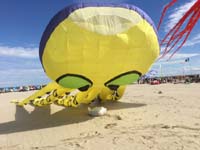 Cervia 20
                  (42)