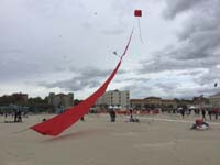 Cervia 20
                  (43)