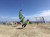 Cervia 20
                  (5)
