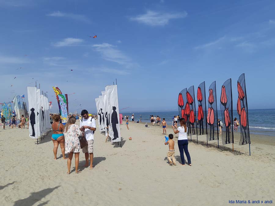 Cervia 21 (8)