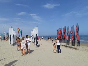 Cervia 21 (8)