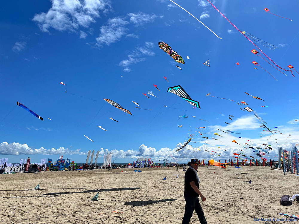 Cervia 25 (19)