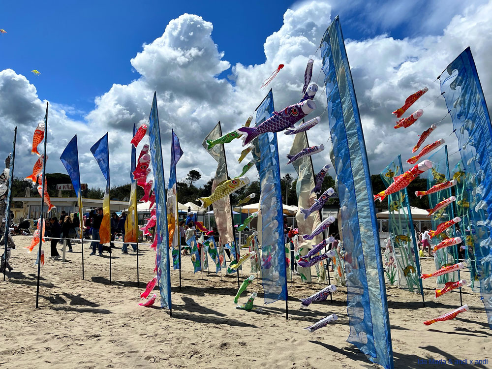 Cervia 25 (21)