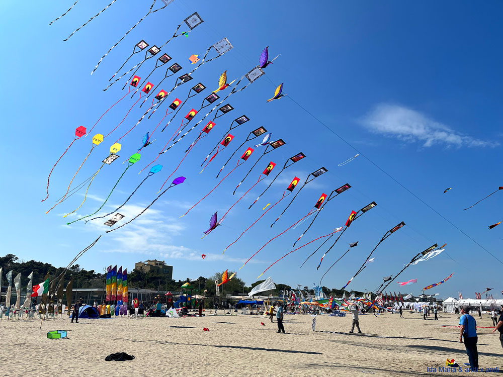 Cervia 25 (36)