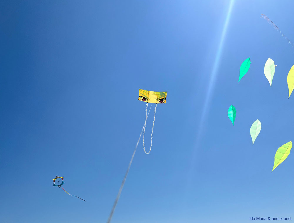 Cervia 25 (40)