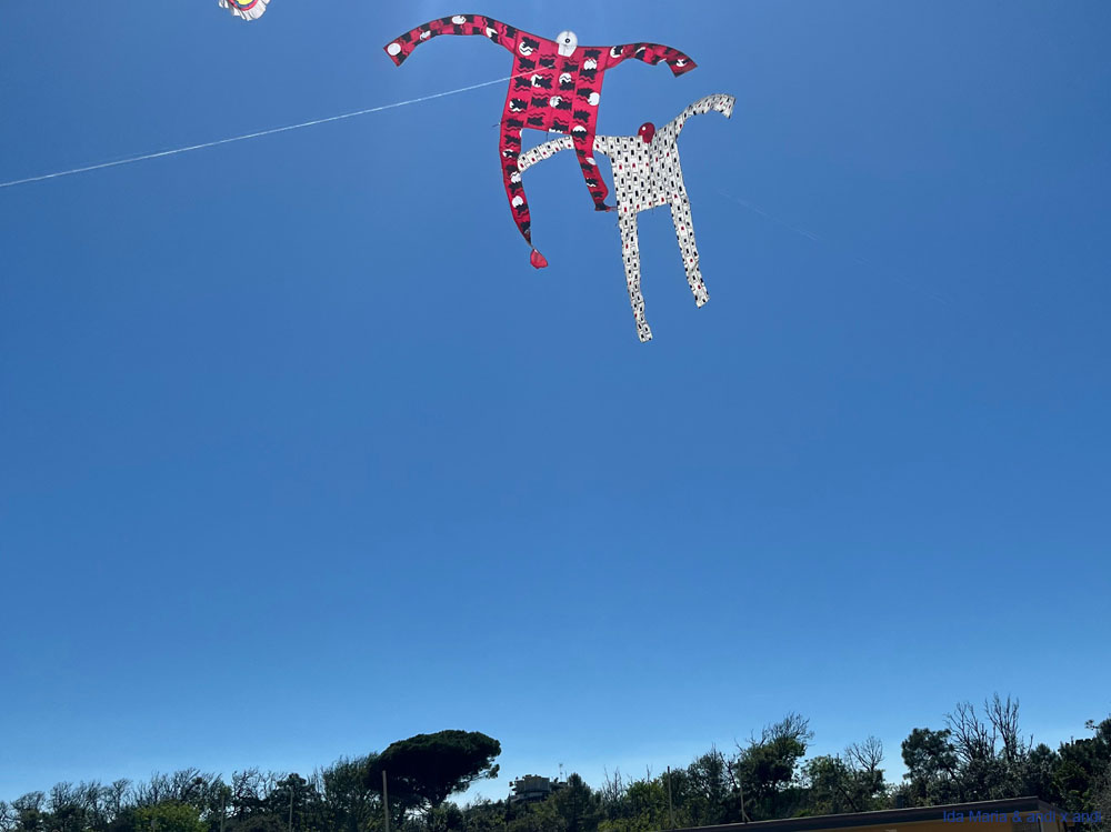 Cervia 25 (42)