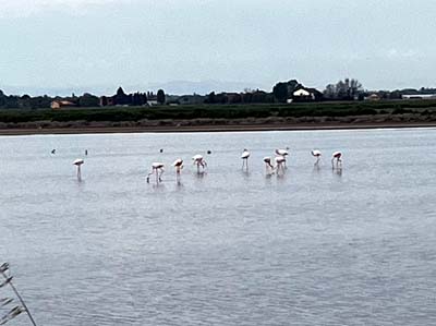 Cervia 25 (10)