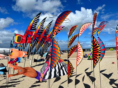 Cervia 25 (14)