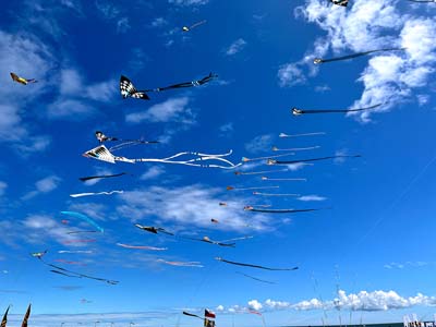 Cervia 25 (20)