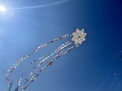 Cervia 25 (35)