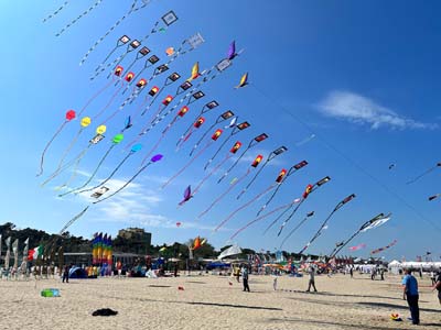 Cervia 25 (36)