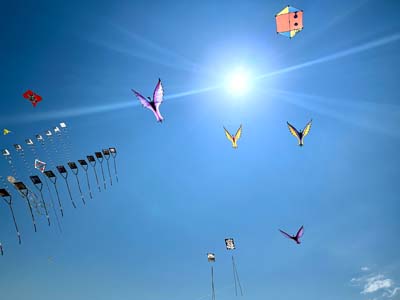 Cervia 25 (37)