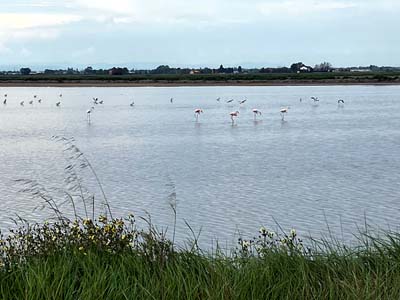 Cervia 25 (8)
