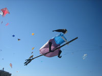 Dreikonigsfliegen07_0000