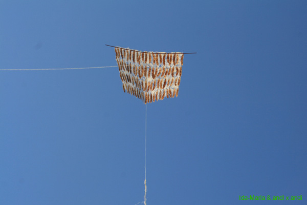 Cwervia08 0336