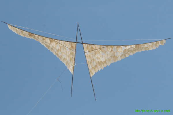 Cwervia08 0471