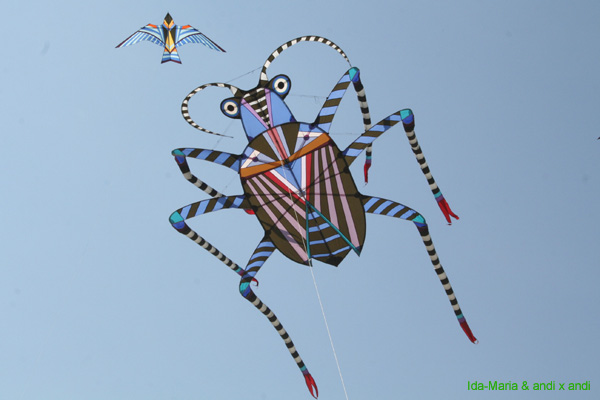Cwervia08 0579