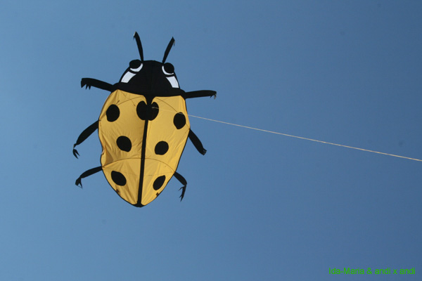 Cwervia08 0583