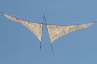 Cwervia08 0471