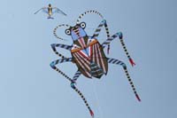Cwervia08 0579