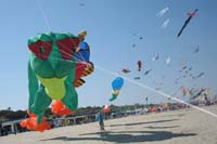 IMG_0153