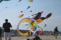 IMG_0245